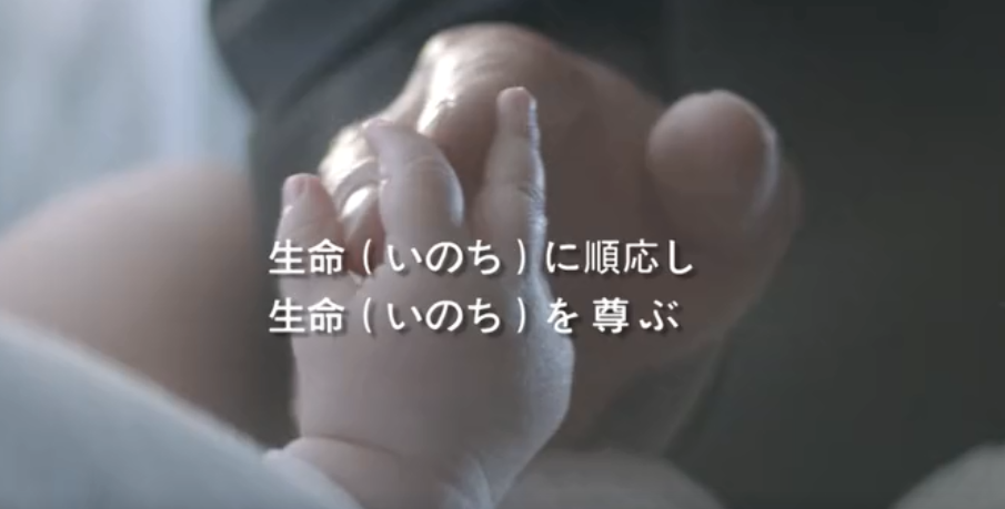 不朽情缘集团形象片（日本語）