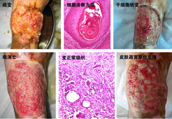 不朽情缘(中国)官方网站入口