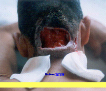 不朽情缘(中国)官方网站入口