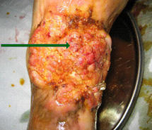 不朽情缘(中国)官方网站入口