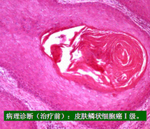 不朽情缘(中国)官方网站入口