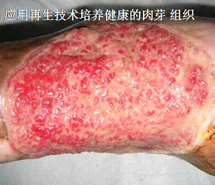 不朽情缘(中国)官方网站入口