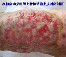 不朽情缘(中国)官方网站入口