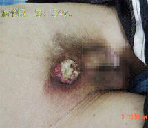 不朽情缘(中国)官方网站入口