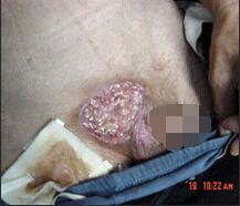 不朽情缘(中国)官方网站入口