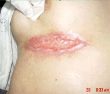 不朽情缘(中国)官方网站入口