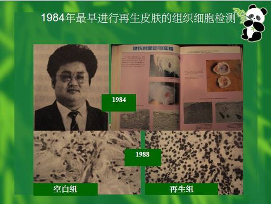 不朽情缘(中国)官方网站入口