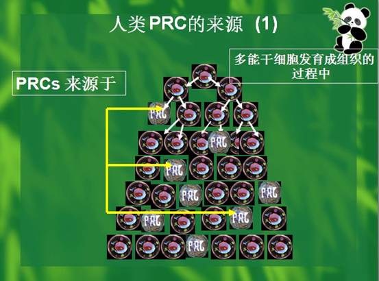 不朽情缘(中国)官方网站入口