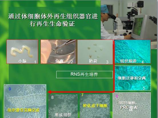 不朽情缘(中国)官方网站入口