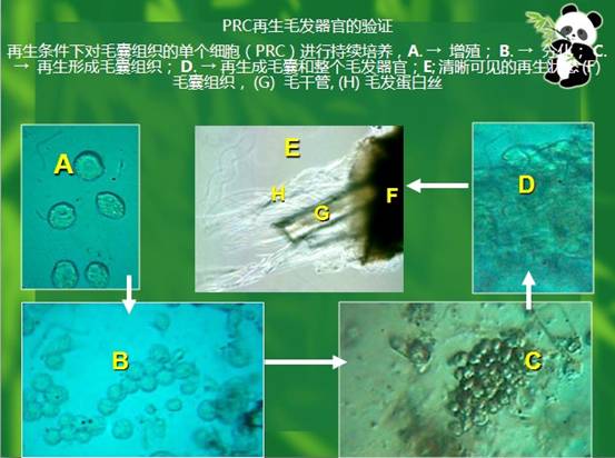 不朽情缘(中国)官方网站入口