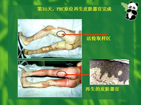 不朽情缘(中国)官方网站入口