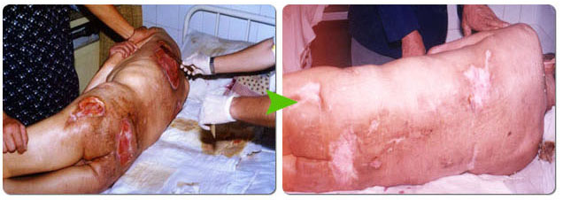 不朽情缘(中国)官方网站入口