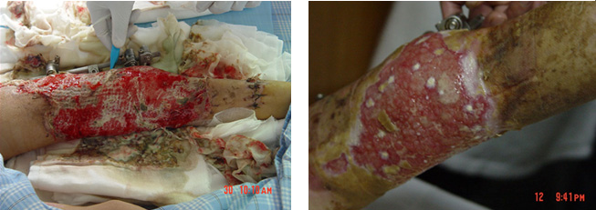 不朽情缘(中国)官方网站入口