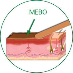 不朽情缘(中国)官方网站入口
