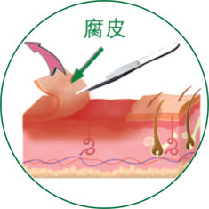 不朽情缘(中国)官方网站入口