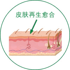 不朽情缘(中国)官方网站入口