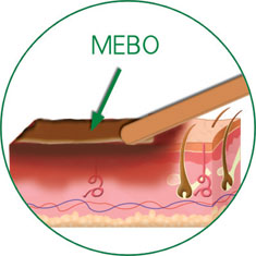 不朽情缘(中国)官方网站入口
