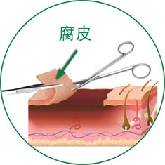 不朽情缘(中国)官方网站入口
