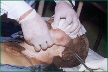 不朽情缘(中国)官方网站入口