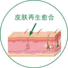 不朽情缘(中国)官方网站入口