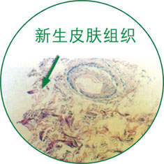 不朽情缘(中国)官方网站入口