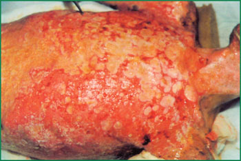 不朽情缘(中国)官方网站入口