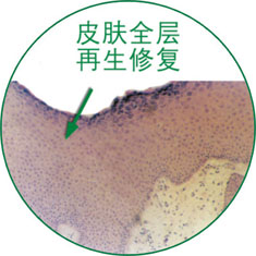 不朽情缘(中国)官方网站入口