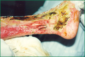 不朽情缘(中国)官方网站入口