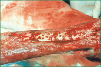 不朽情缘(中国)官方网站入口