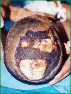 不朽情缘(中国)官方网站入口