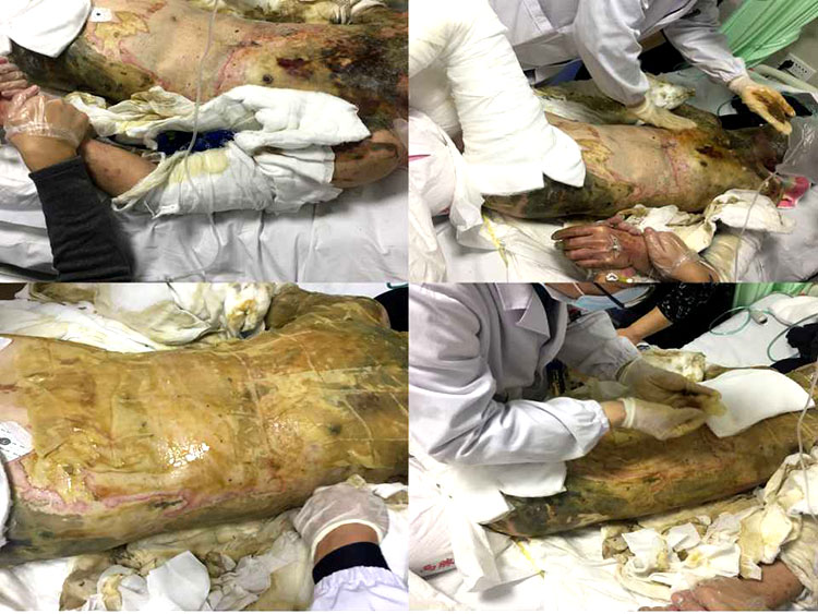 不朽情缘(中国)官方网站入口