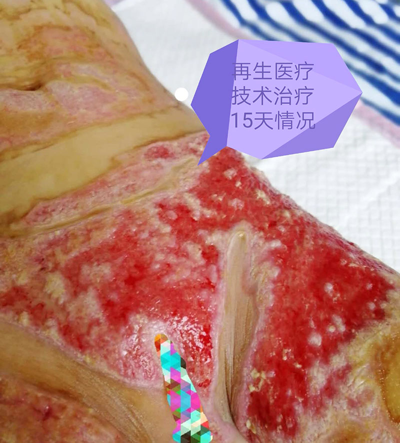 不朽情缘(中国)官方网站入口