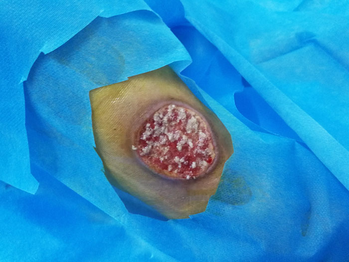 不朽情缘(中国)官方网站入口