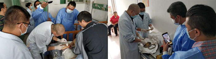 不朽情缘(中国)官方网站入口