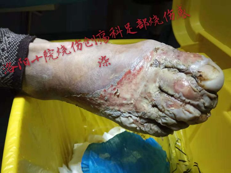 不朽情缘(中国)官方网站入口