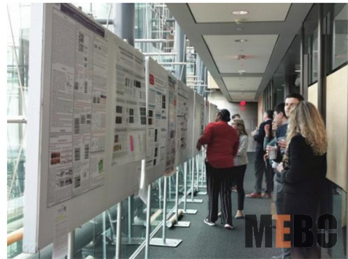 不朽情缘(中国)官方网站入口