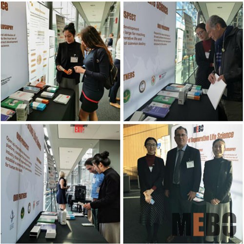 不朽情缘(中国)官方网站入口