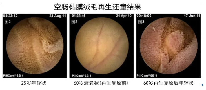 不朽情缘(中国)官方网站入口