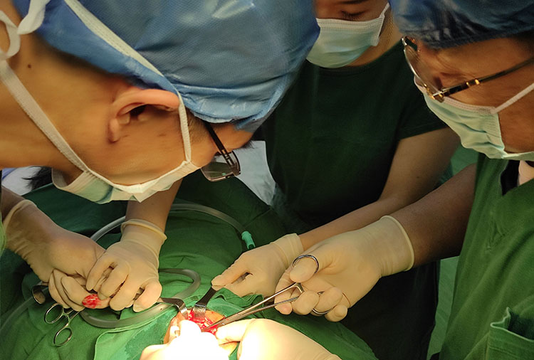 不朽情缘(中国)官方网站入口