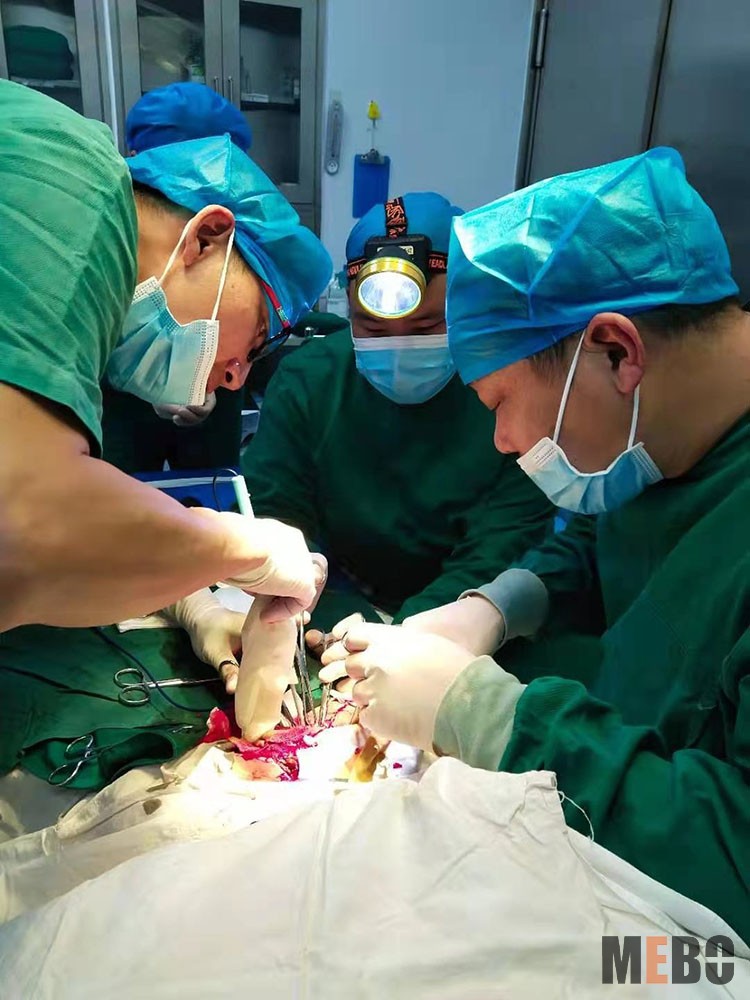 不朽情缘(中国)官方网站入口