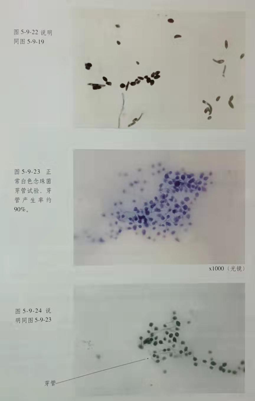 不朽情缘(中国)官方网站入口