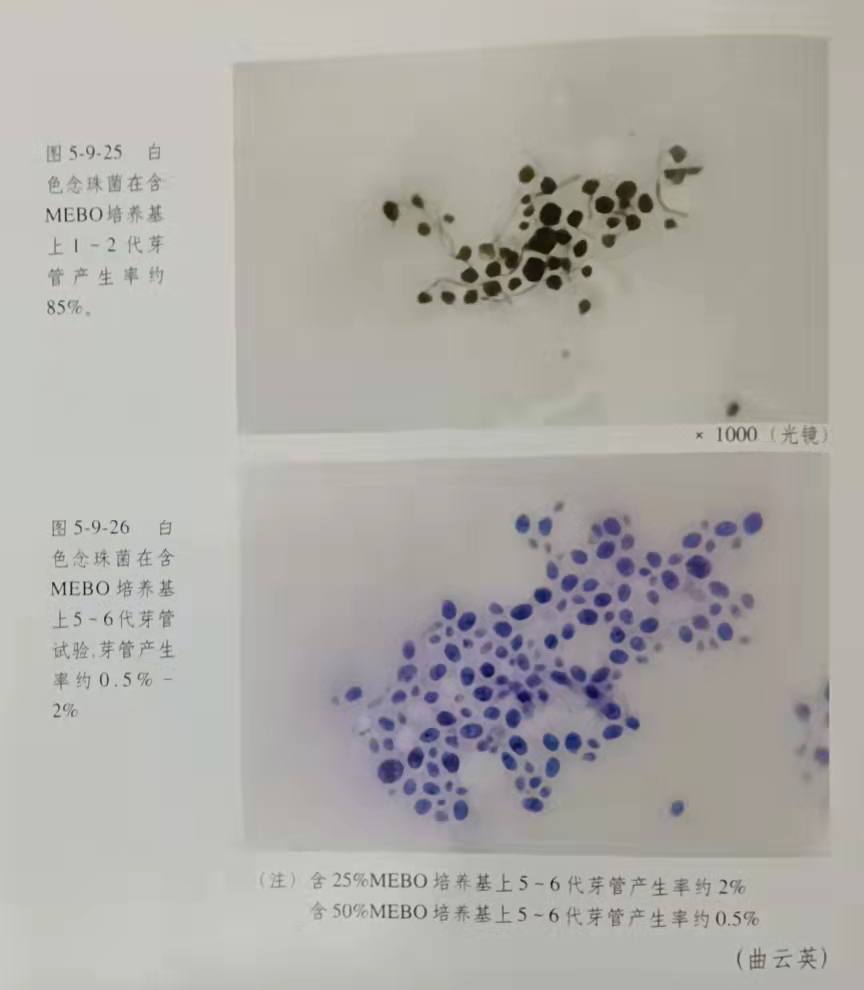 不朽情缘(中国)官方网站入口