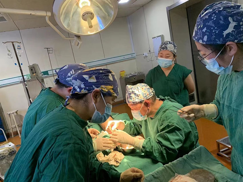 不朽情缘(中国)官方网站入口