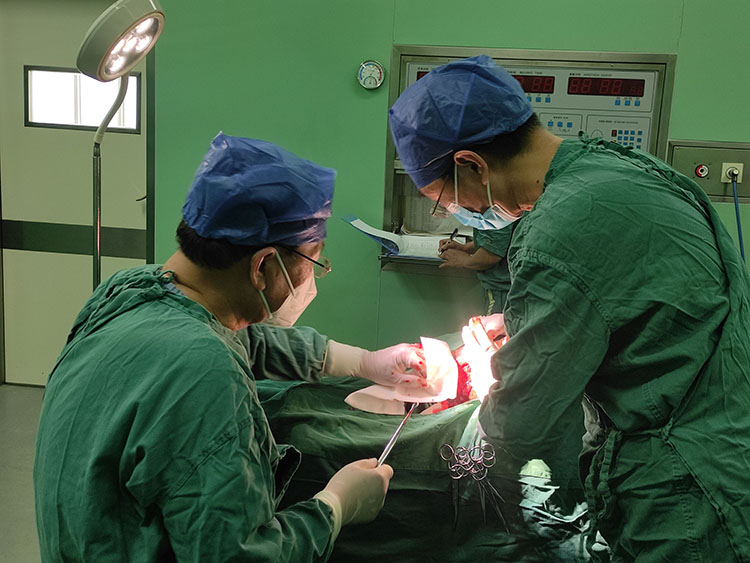 不朽情缘(中国)官方网站入口