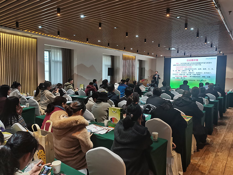 不朽情缘(中国)官方网站入口