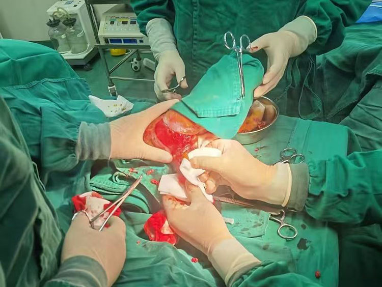 不朽情缘(中国)官方网站入口