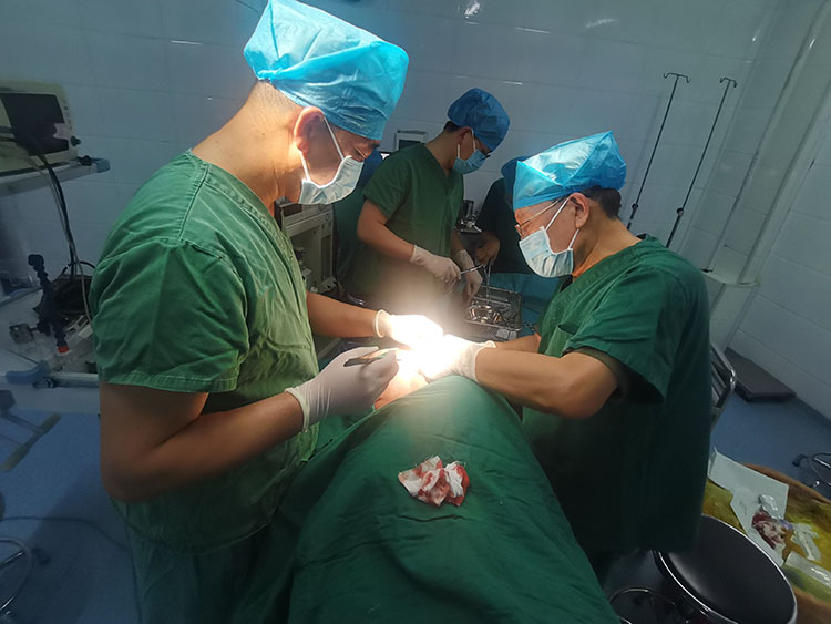 不朽情缘(中国)官方网站入口