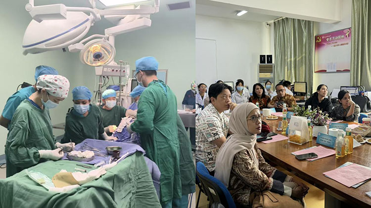 不朽情缘(中国)官方网站入口