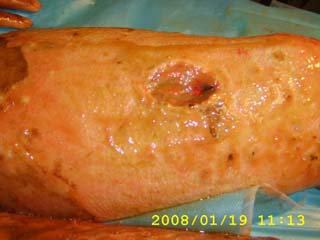 不朽情缘(中国)官方网站入口