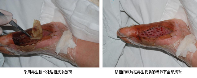 不朽情缘(中国)官方网站入口